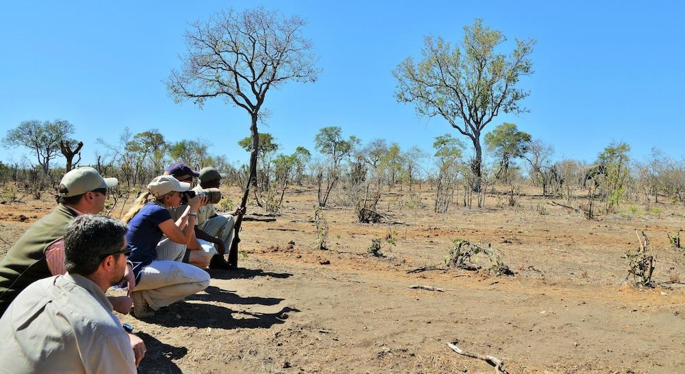 Hoyo Hoyo Safari Lodge Mluwati Concession Экстерьер фото