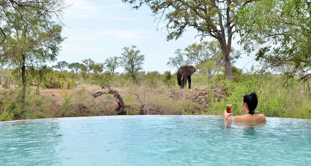 Hoyo Hoyo Safari Lodge Mluwati Concession Экстерьер фото