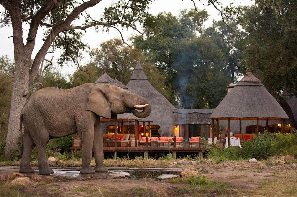 Hoyo Hoyo Safari Lodge Mluwati Concession Экстерьер фото
