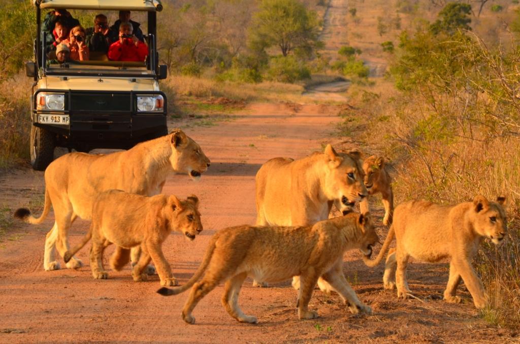 Hoyo Hoyo Safari Lodge Mluwati Concession Экстерьер фото