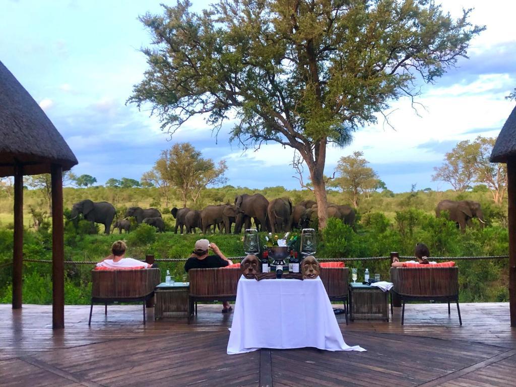 Hoyo Hoyo Safari Lodge Mluwati Concession Экстерьер фото