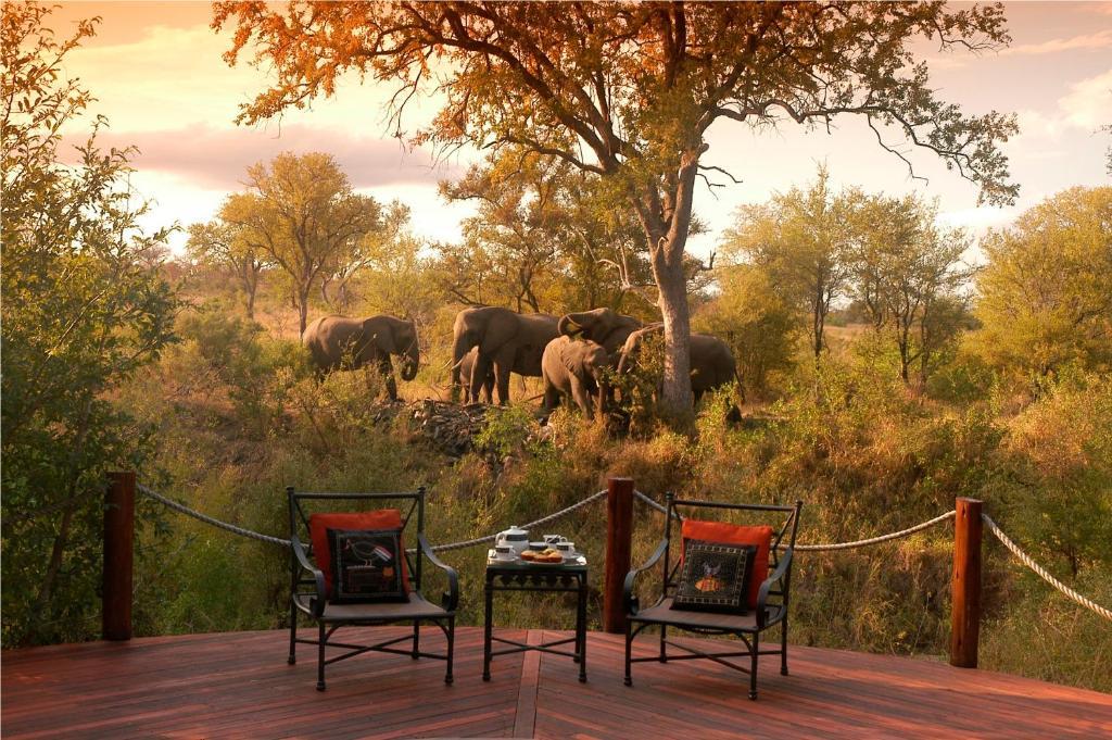 Hoyo Hoyo Safari Lodge Mluwati Concession Экстерьер фото