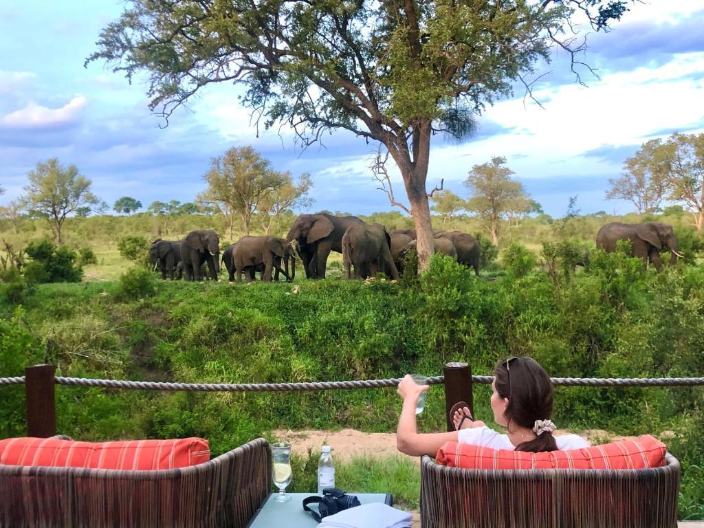 Hoyo Hoyo Safari Lodge Mluwati Concession Экстерьер фото
